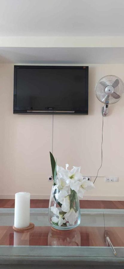 Precioso Apartamento Campo Golf Huesca Dış mekan fotoğraf